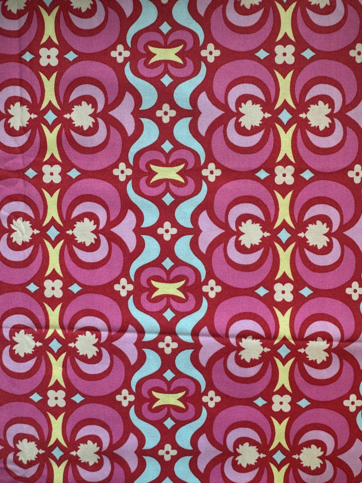 Midwest Modern by Amy Butler 1 1/2 Yards