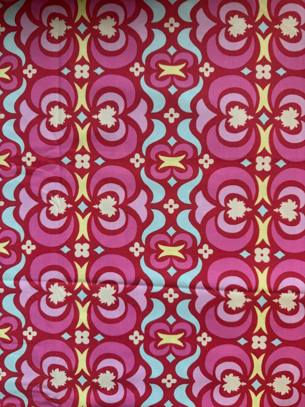 Midwest Modern by Amy Butler 1 1/2 Yards