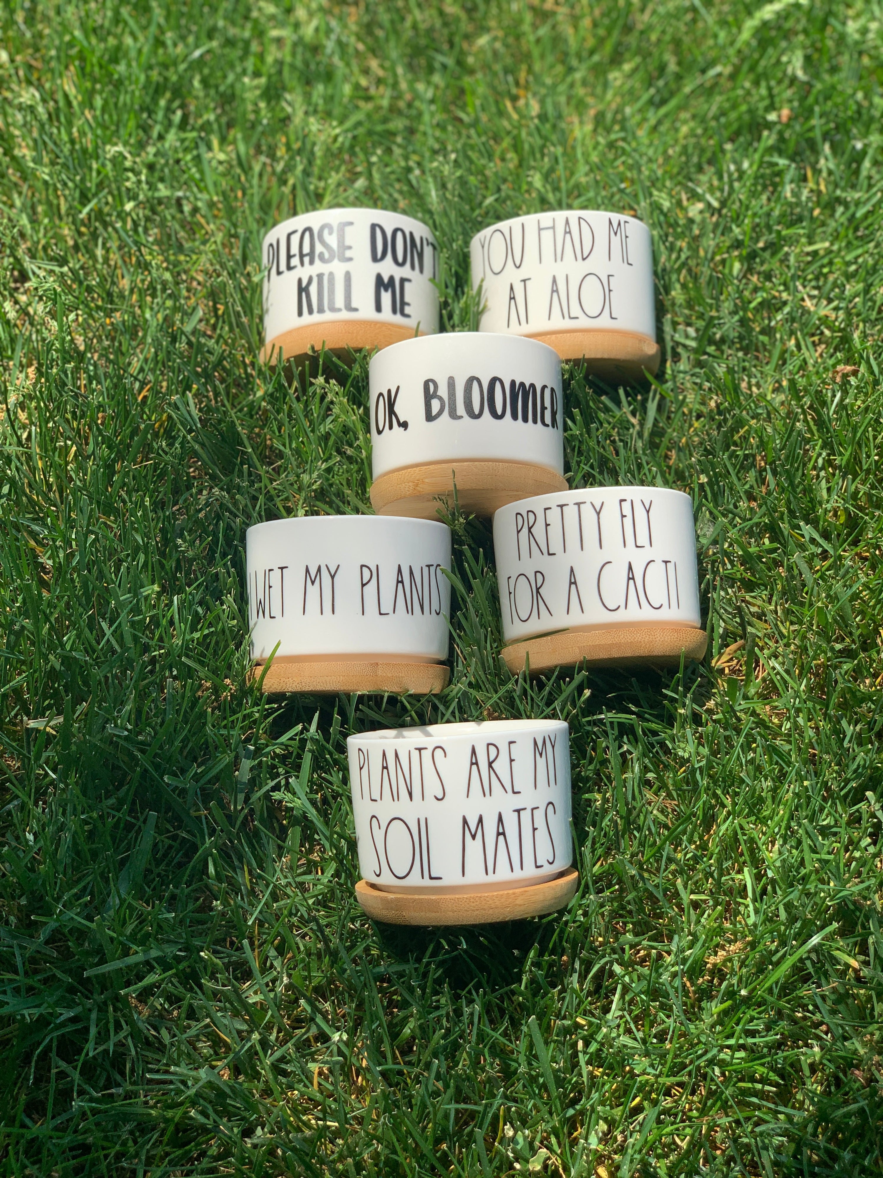 Funny, Cute and Sarcastic Mini Planters