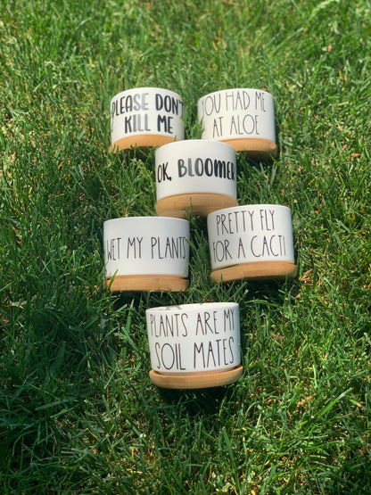 Funny, Cute and Sarcastic Mini Planters