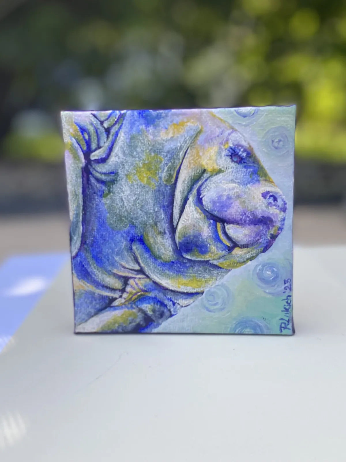 Mini-Manatee in Mulberry