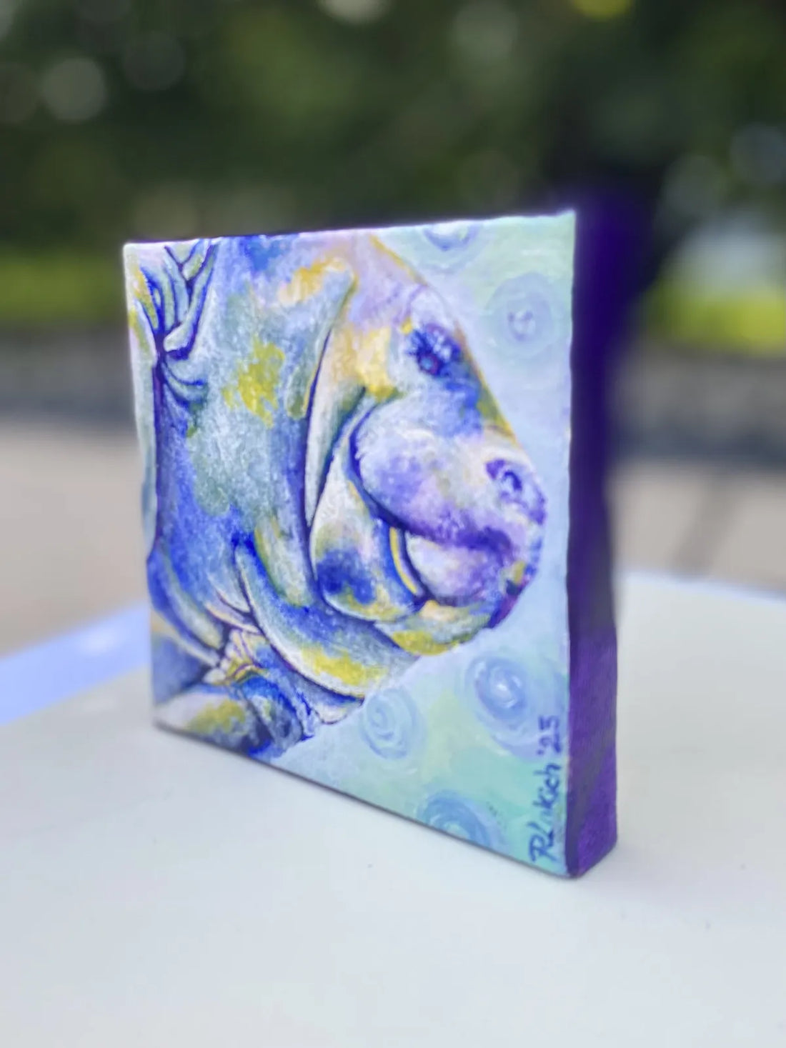 Mini-Manatee in Mulberry
