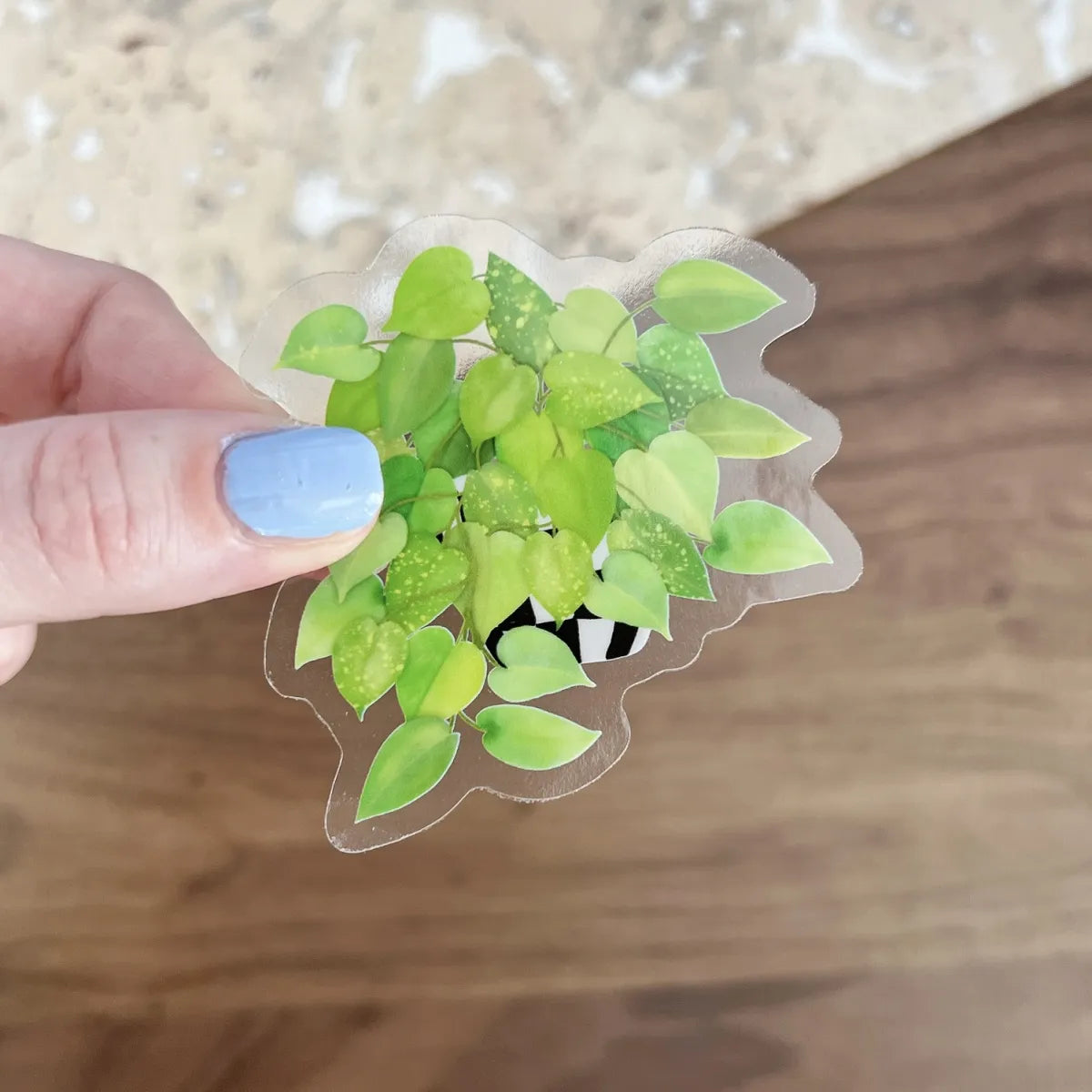 Golden Pothos sticker