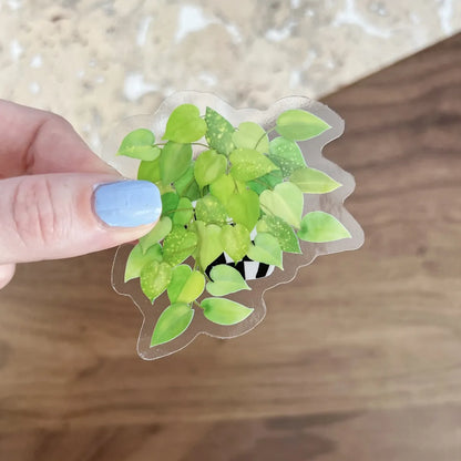 Golden Pothos sticker