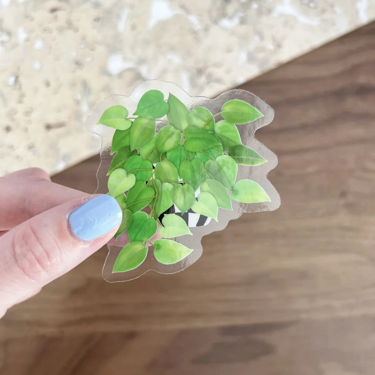 Pothos sticker