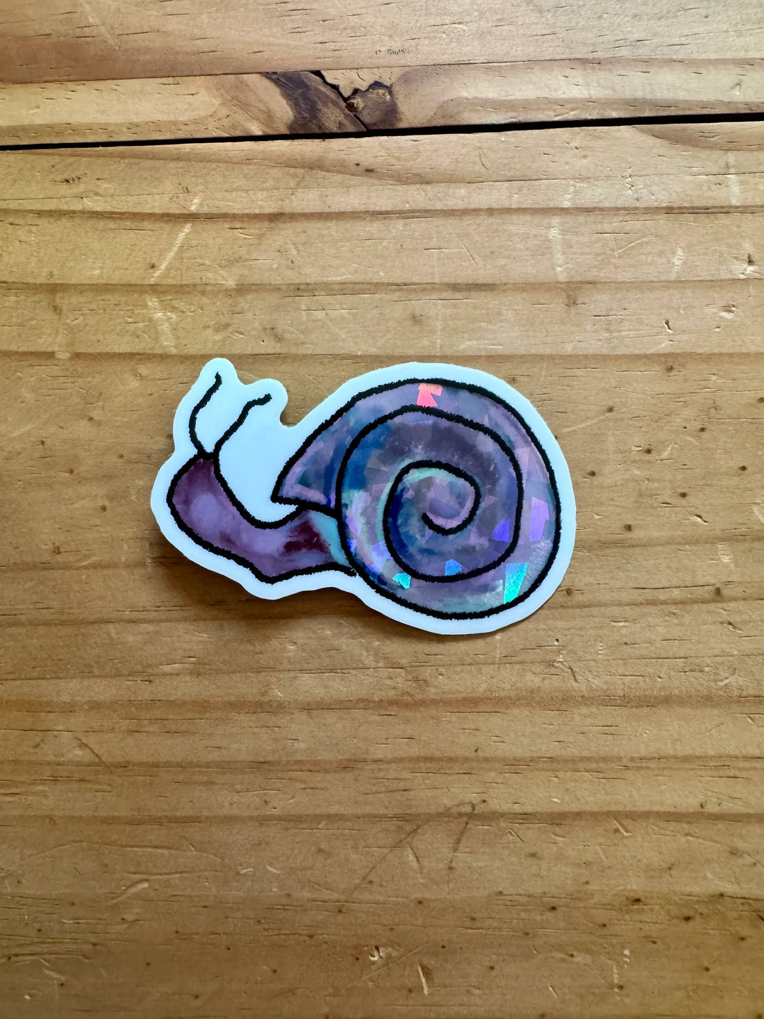 Disco Hand Drawn Snail Sticker - 3"