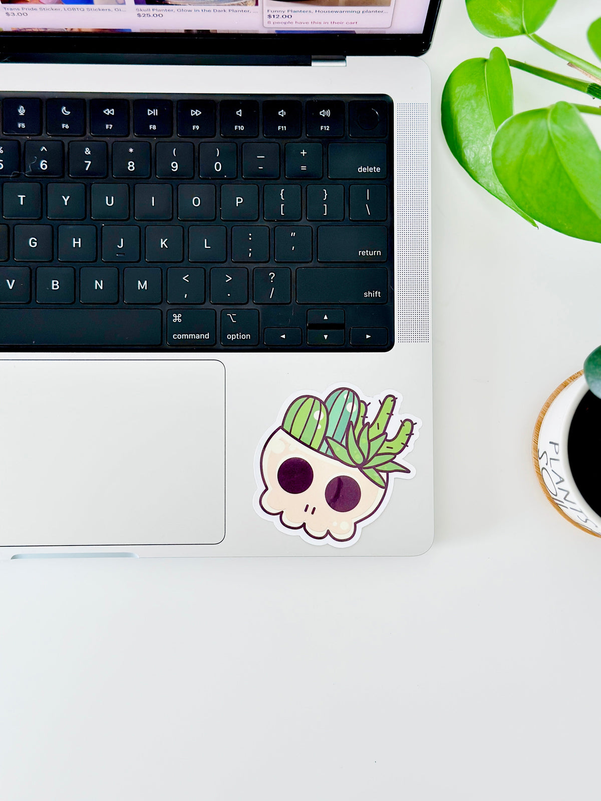 Cactus Sticker For Plant Lovers