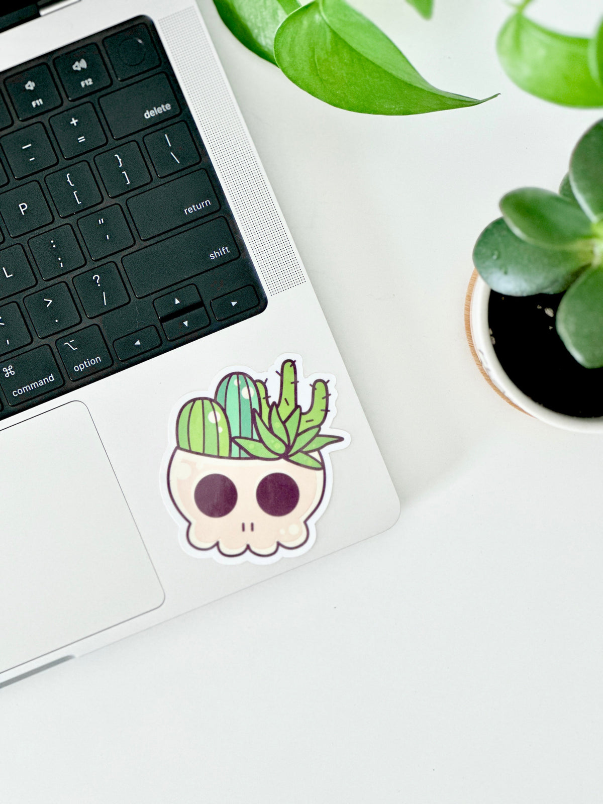 Cactus Sticker For Plant Lovers