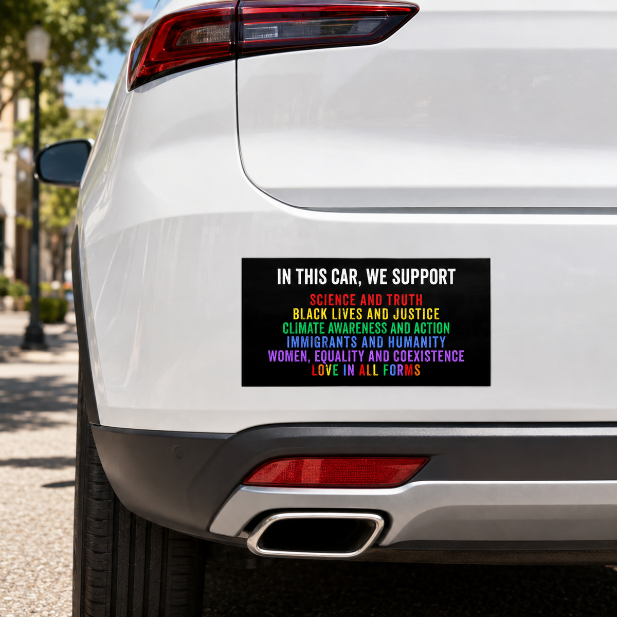 In This Car We Support Progressive Bumper STICKER