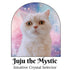 A white fluffy cat centered inside an arched pastel galaxy frame, with the text &
