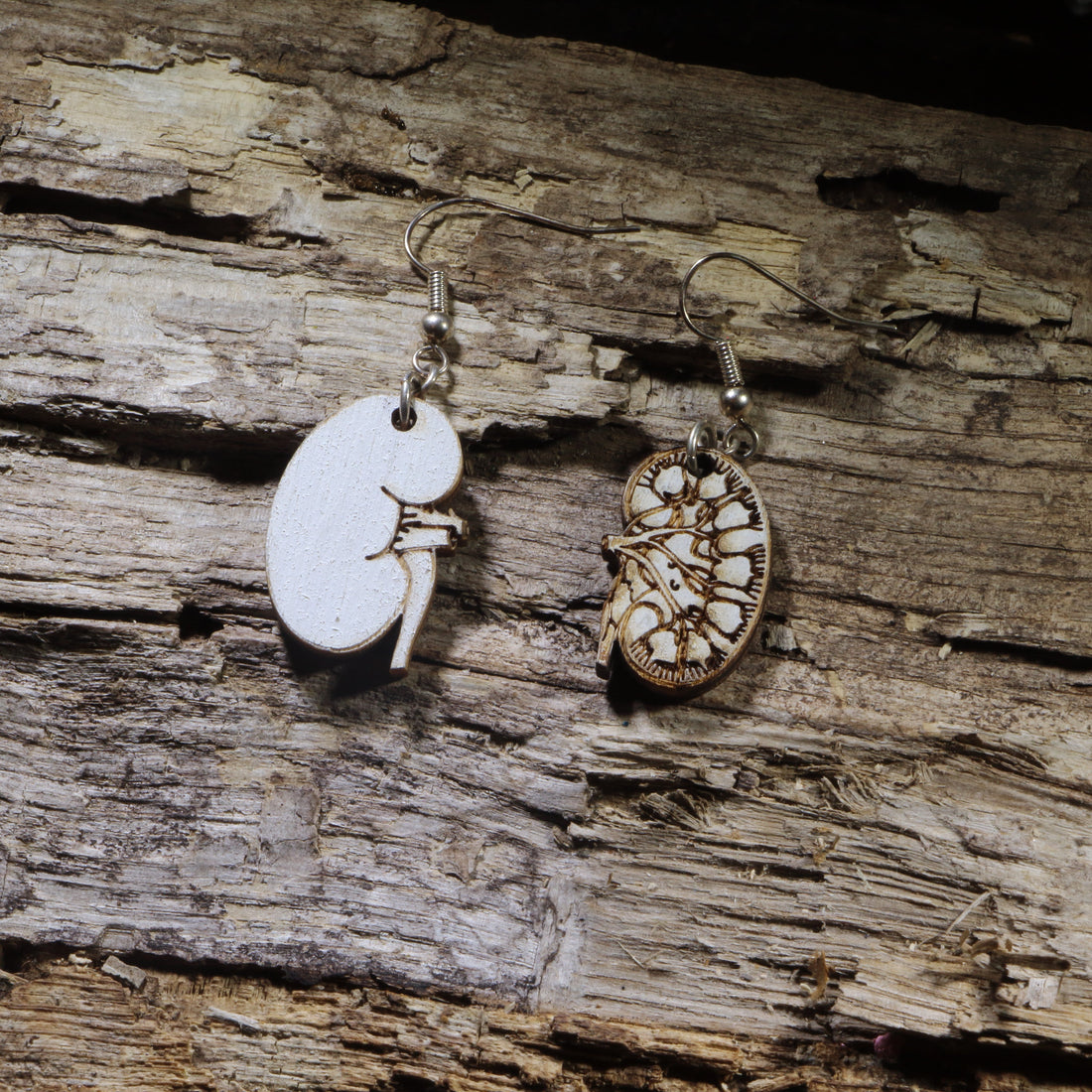 Hand-painted wooden kidney dangle earrings on hypoallergenic .925 sterling silver hooks. Lightweight nephrology medical jewelry for nephrologists, dialysis nurses, medical students, kidney specialists, and anatomy enthusiasts.