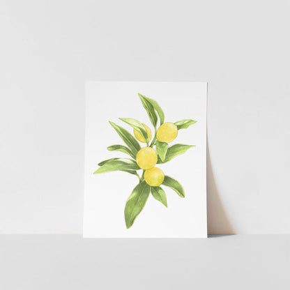 A printed artwork of a lemon branch with green and yellow colors on a white background, signed by Heather S Vitticore.