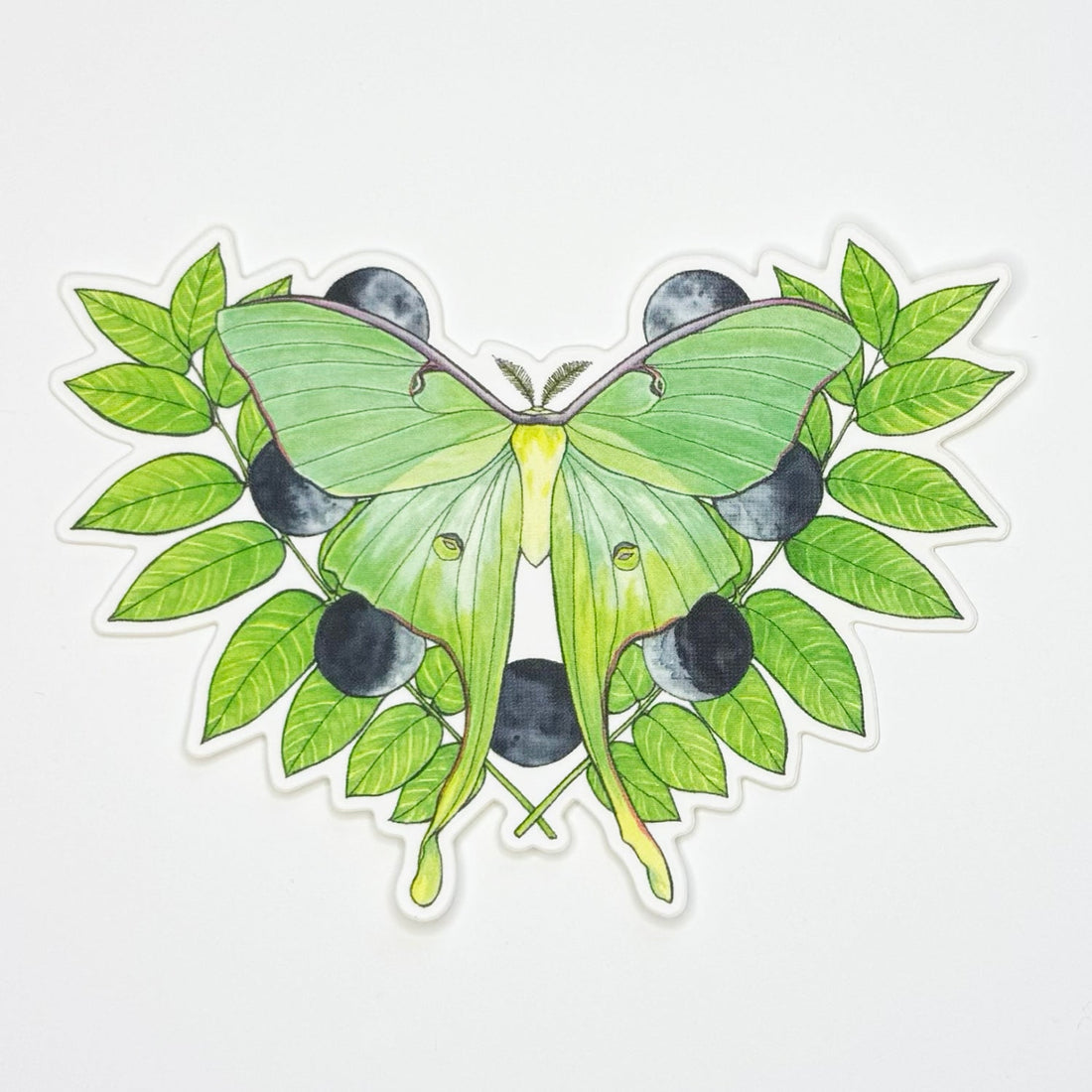Luna Moth Sticker