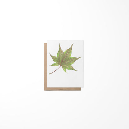 A greeting card featuring a maple leaf design by Heather S Vitticore, presented on a white background.