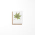 A greeting card featuring a maple leaf design by Heather S Vitticore, presented on a white background.