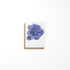 Mini greeting card featuring a purple flower anemone illustration