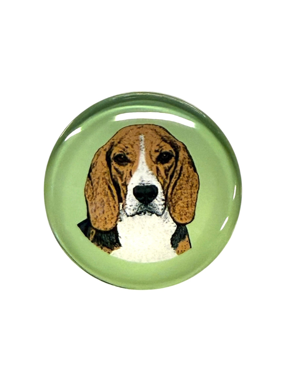 Beagle Dog Magnet
