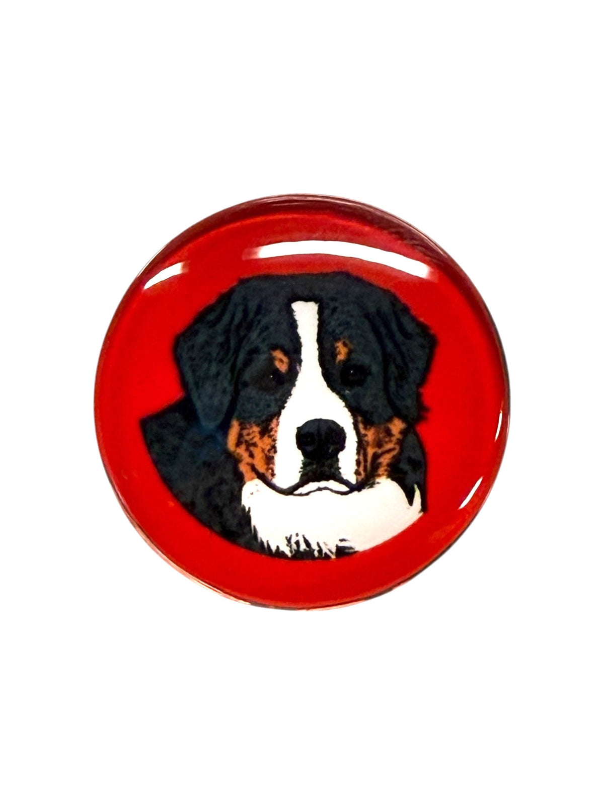 Bernese Mountain Dog Magnet