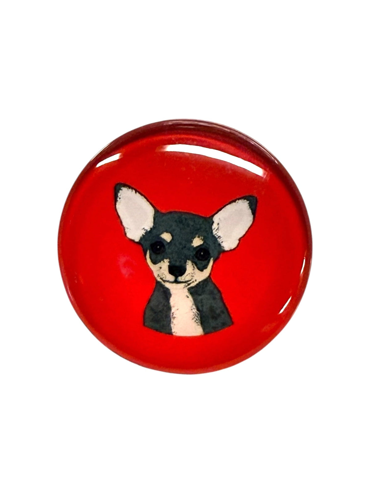 Chihuahua Black Dog Magnet