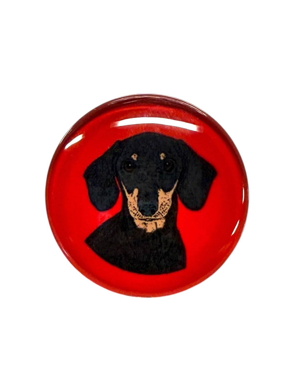 Dachshund Black Dog Magnet