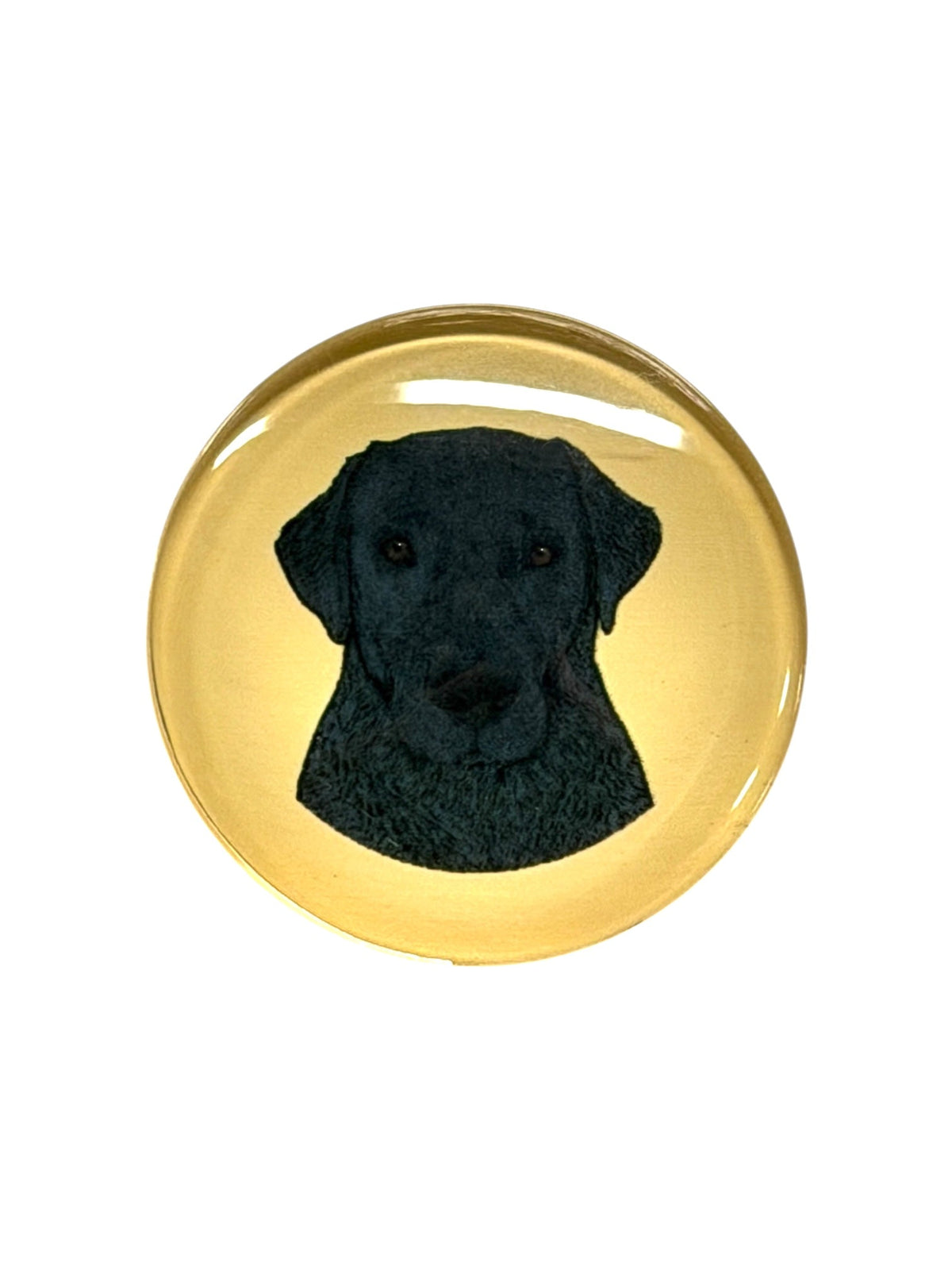 Lab, Black Dog Magnet