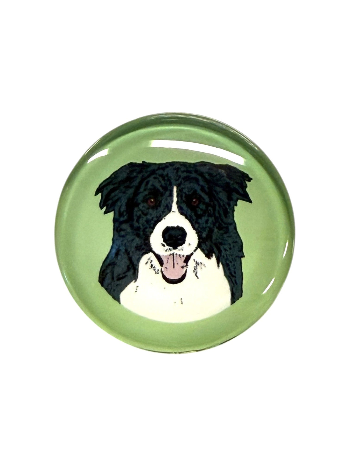 Border Collie Dog Magnet