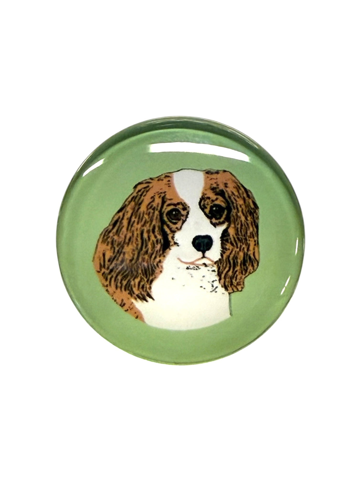 Cavalier Brown Dog Magnet