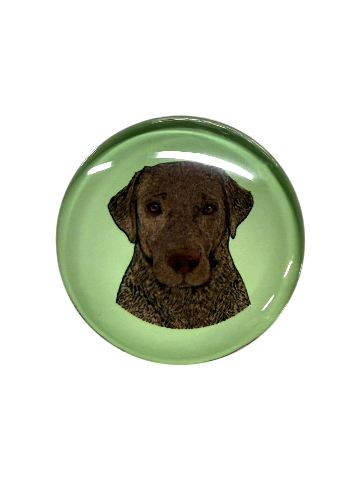 Lab, Chocolate Dog Magnet