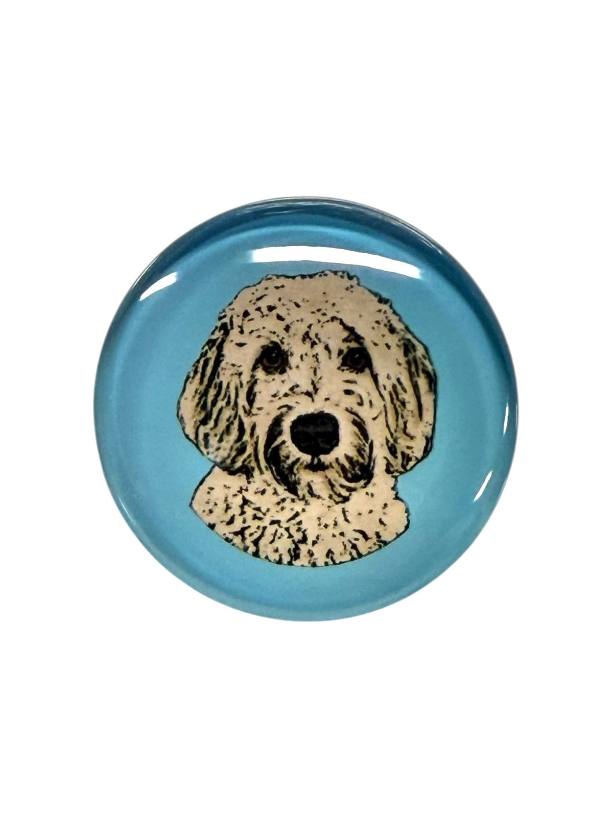 Golden Doodle Dog Magnet