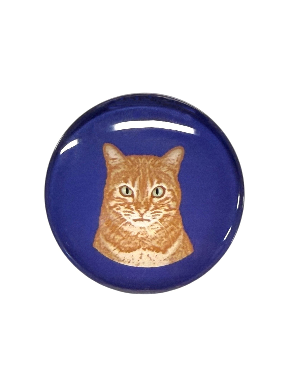 Orange Tabby Cat Magnet