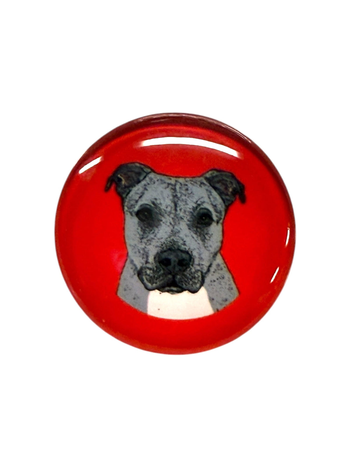 Pit Bull Gray Magnet