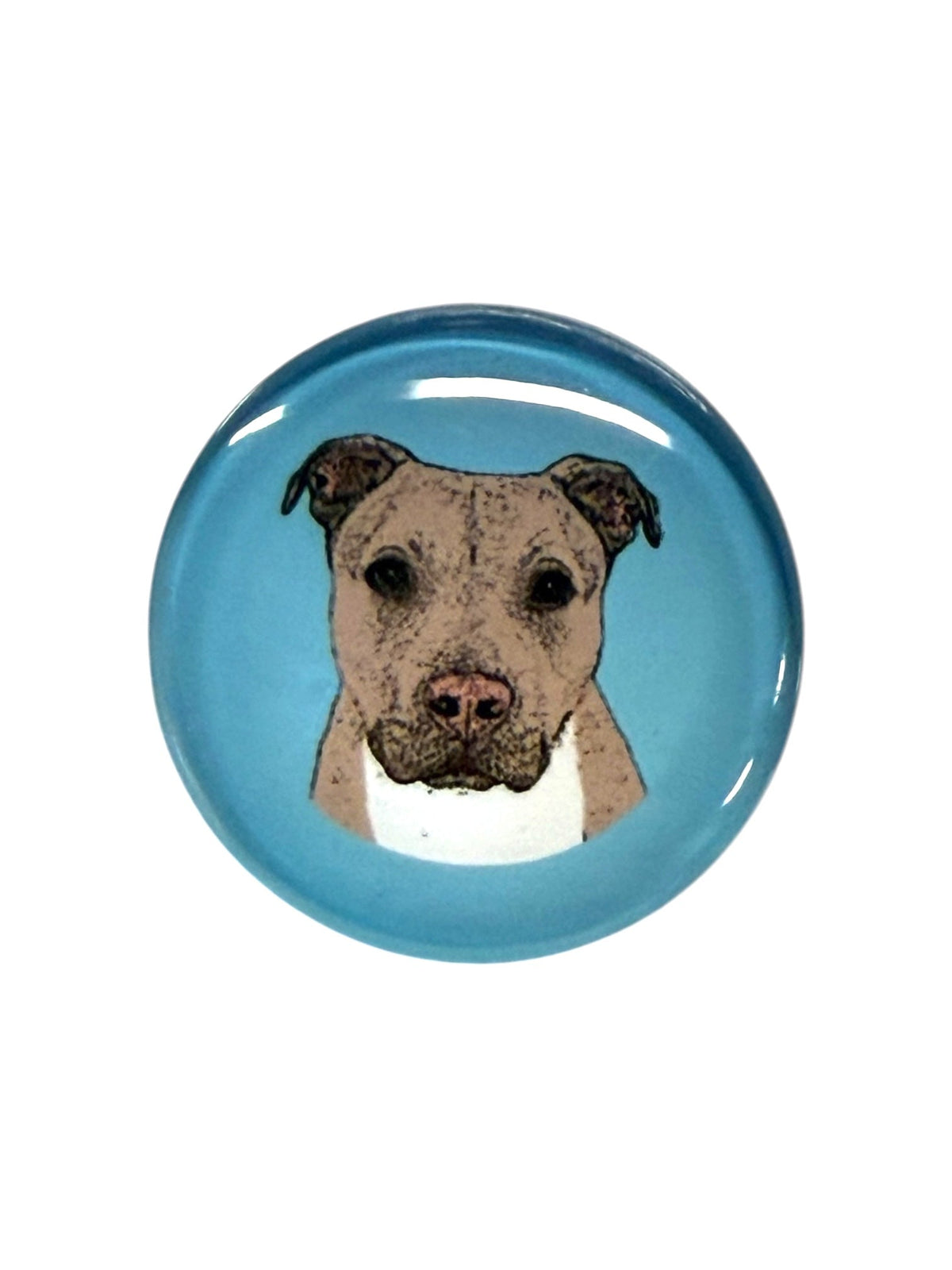 Pit Bull Tan Magnet