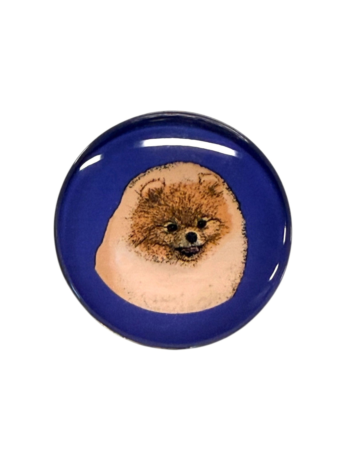 Pomeranian Tan Magnet