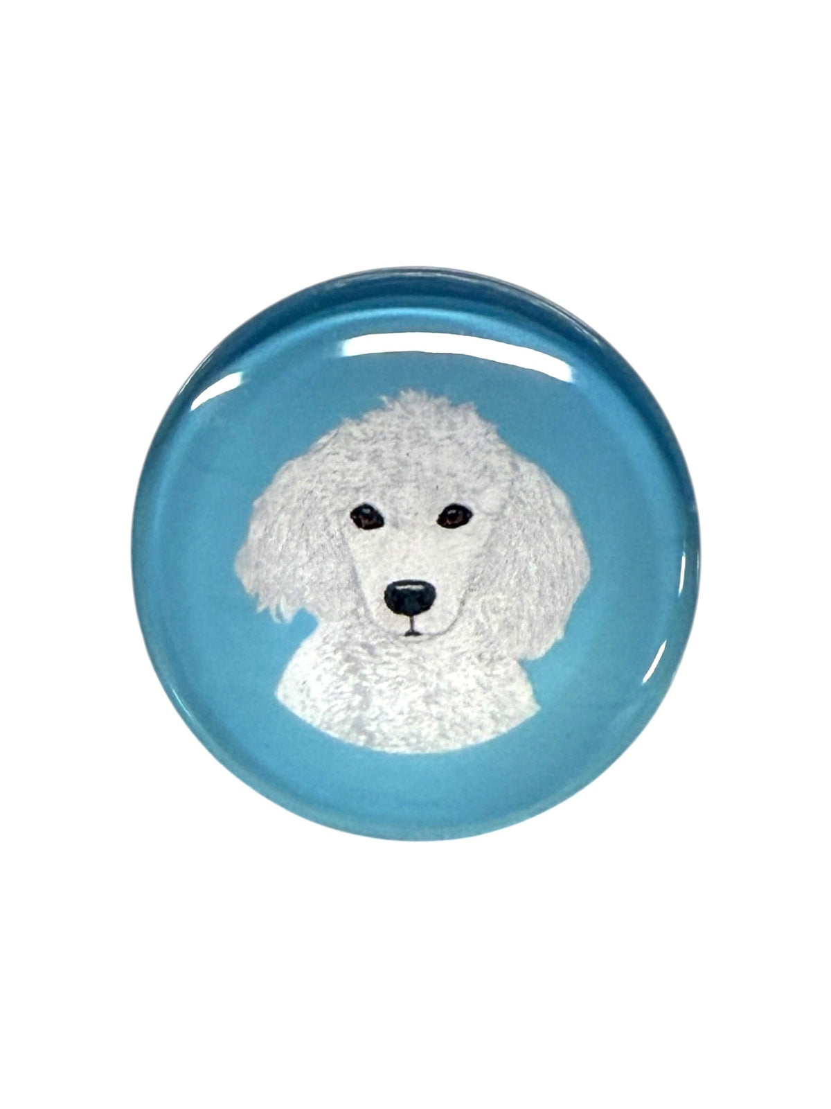 Poodle White Magnet