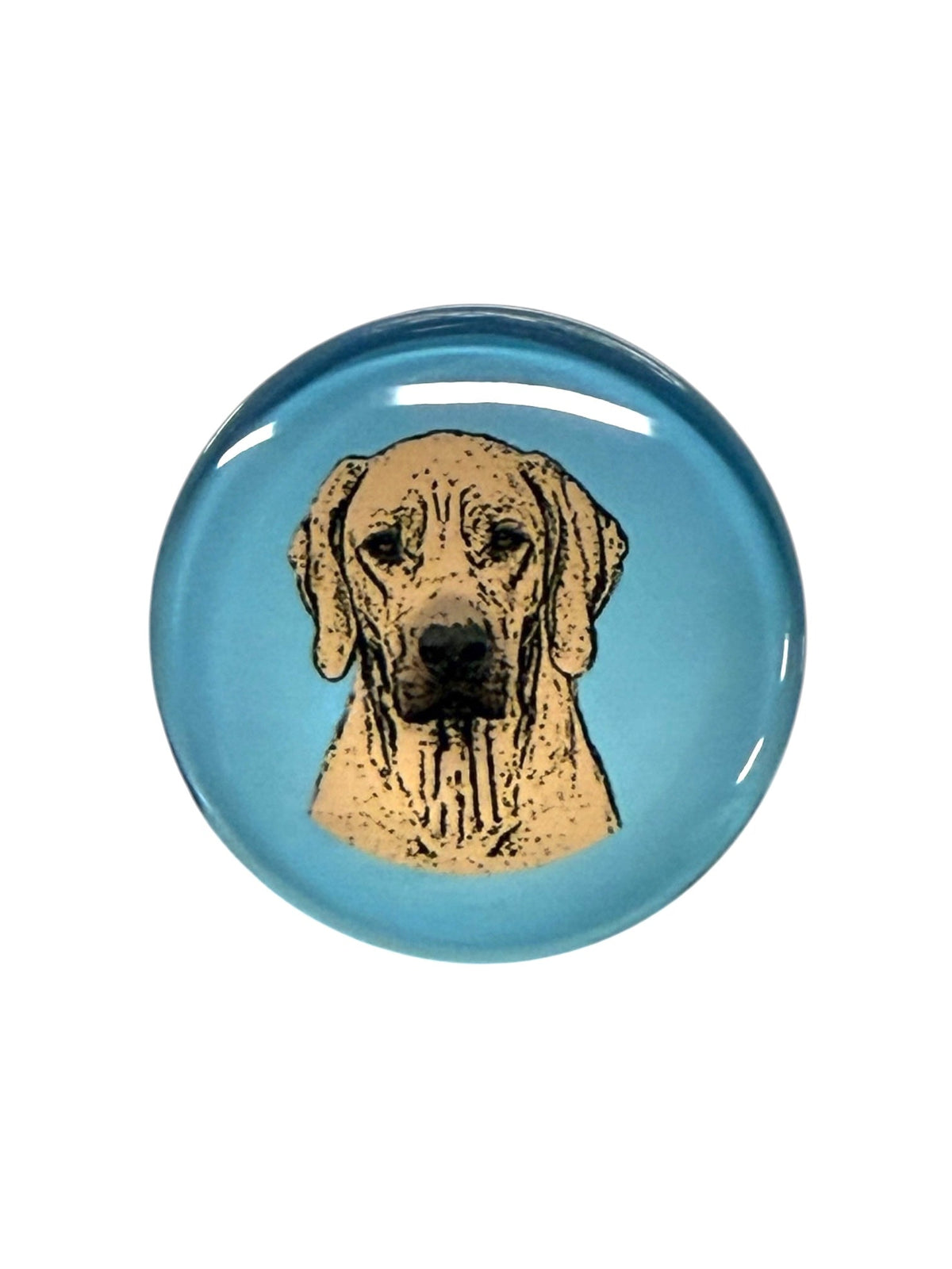 Rhodesian Dog Magnet