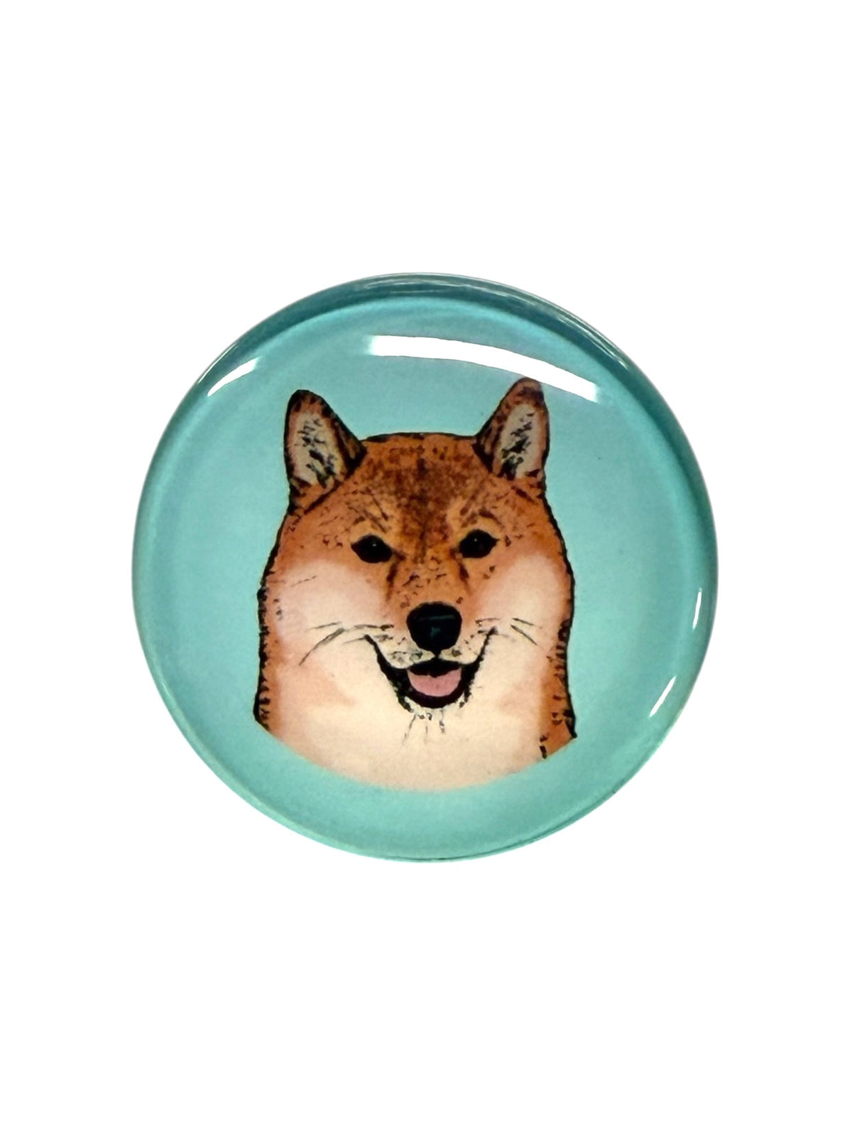 Shiba Inu Dog Magnet