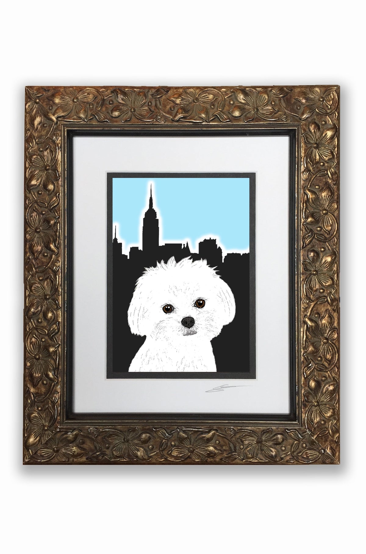 Maltese Pupart Portrait