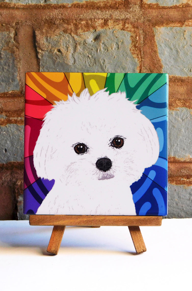 Maltese Ceramic Tile