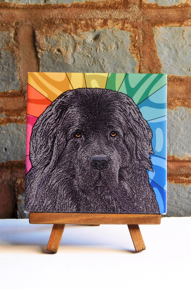 Newfoundland Ceramic Art Tile