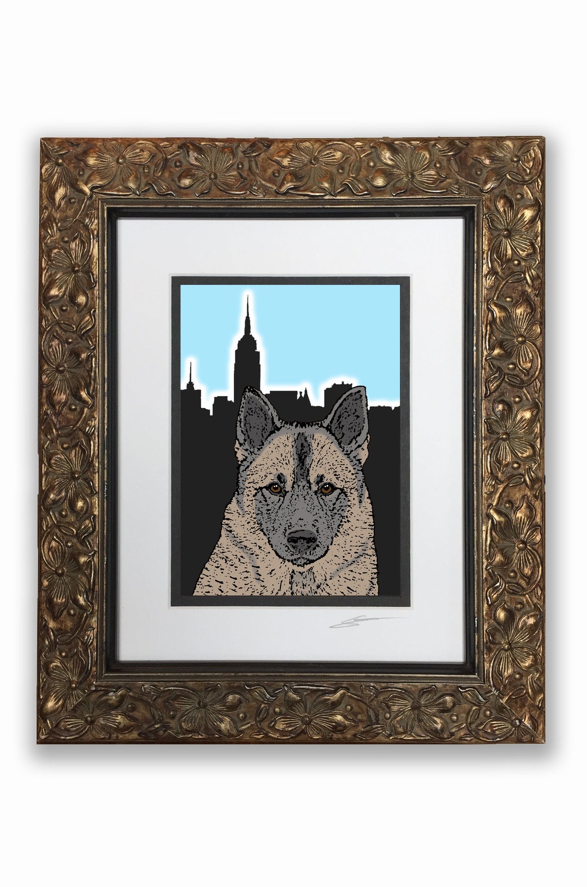 Norwegian Elkhound Pupart Portrait