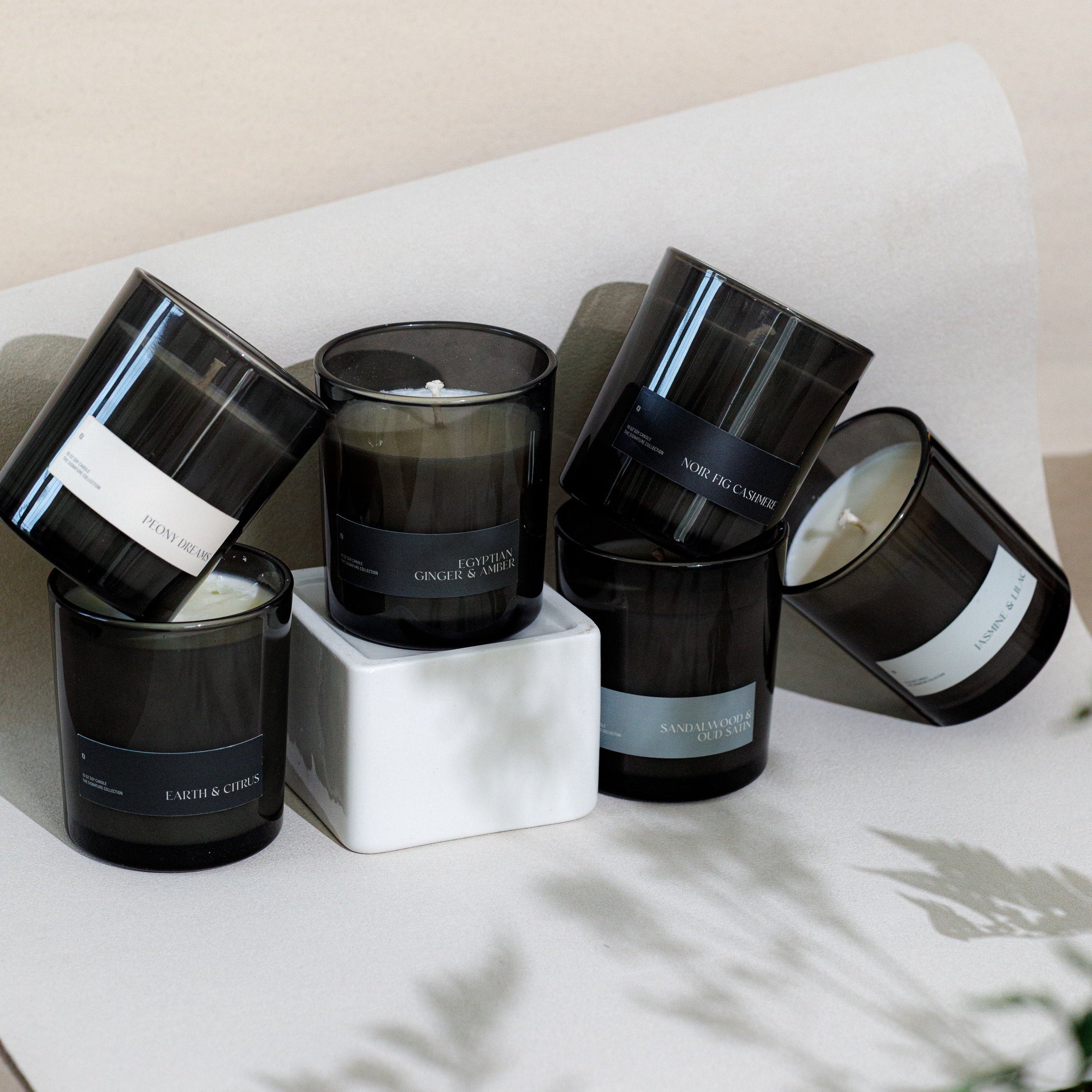 Earth and Citrus Soy Candle