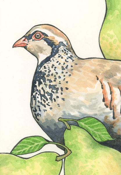 Partridge Wreath Print