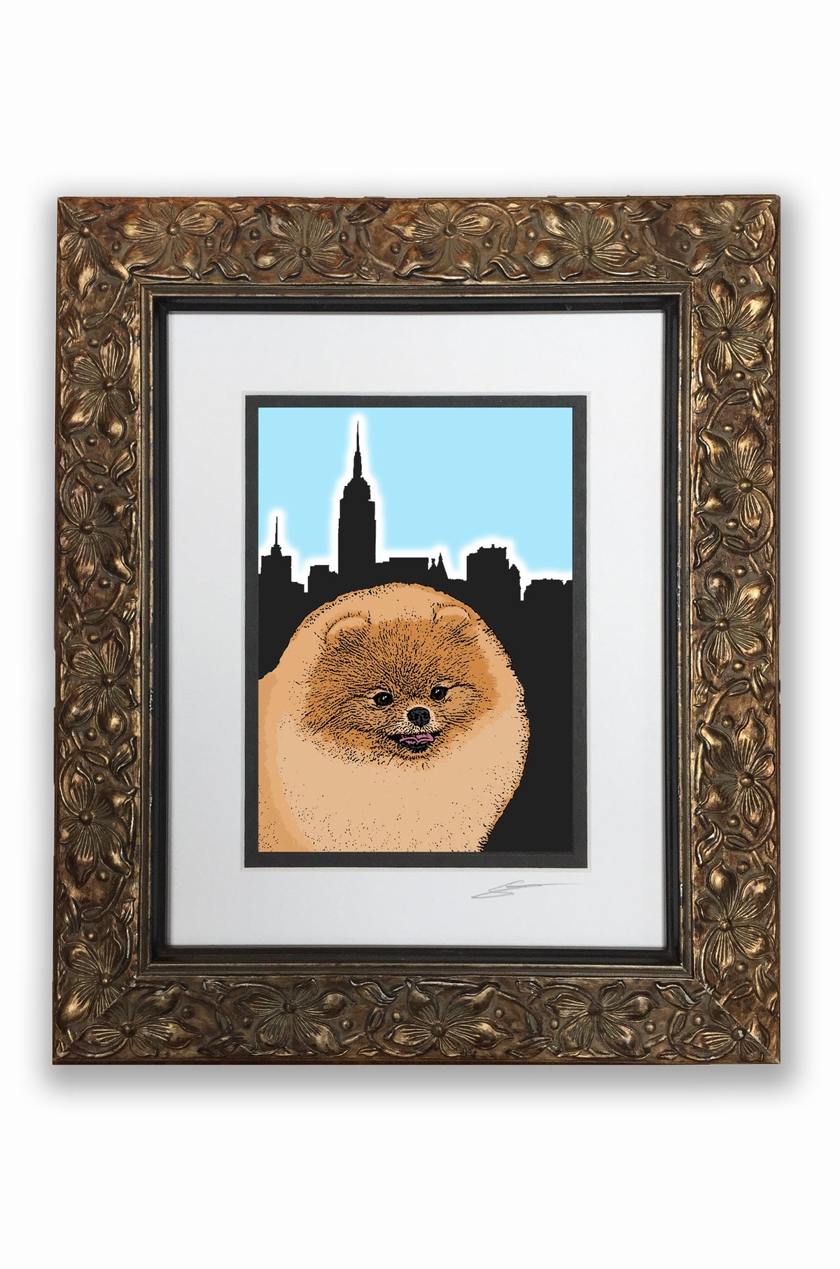 Pomeranian Fluffy Pupart Portrait