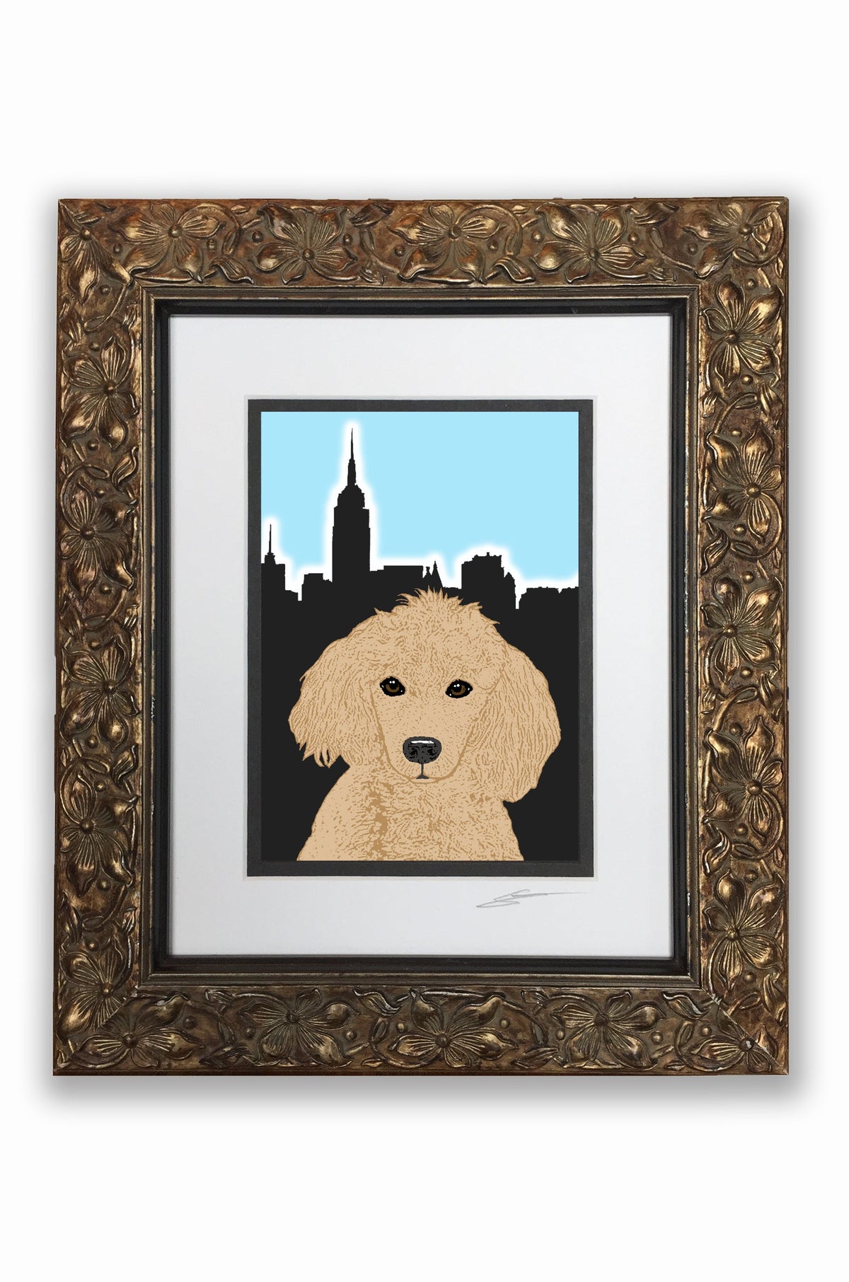 Poodle Apricot Pupart Portrait