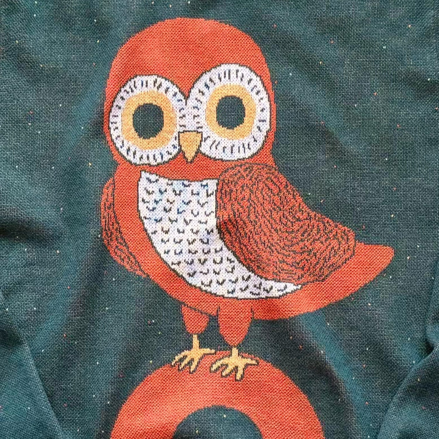 Detail of the knitted owl design on the forest green Owl on a Vowel graphic knit sweater by Jedd