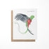 Greeting card featuring a quetzal bird watercolor painting with the text &
