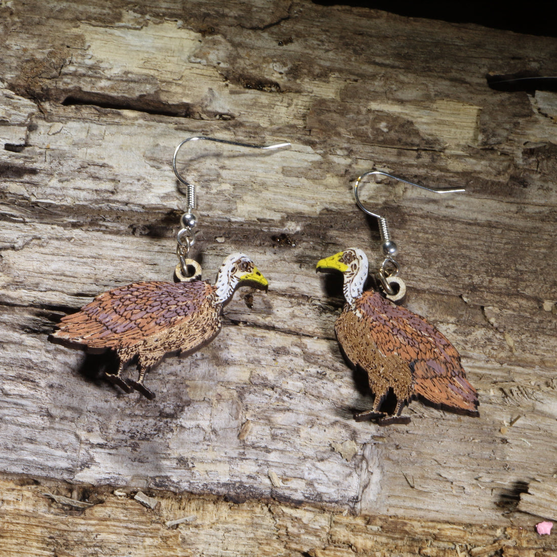 Hand-painted Rüppell&