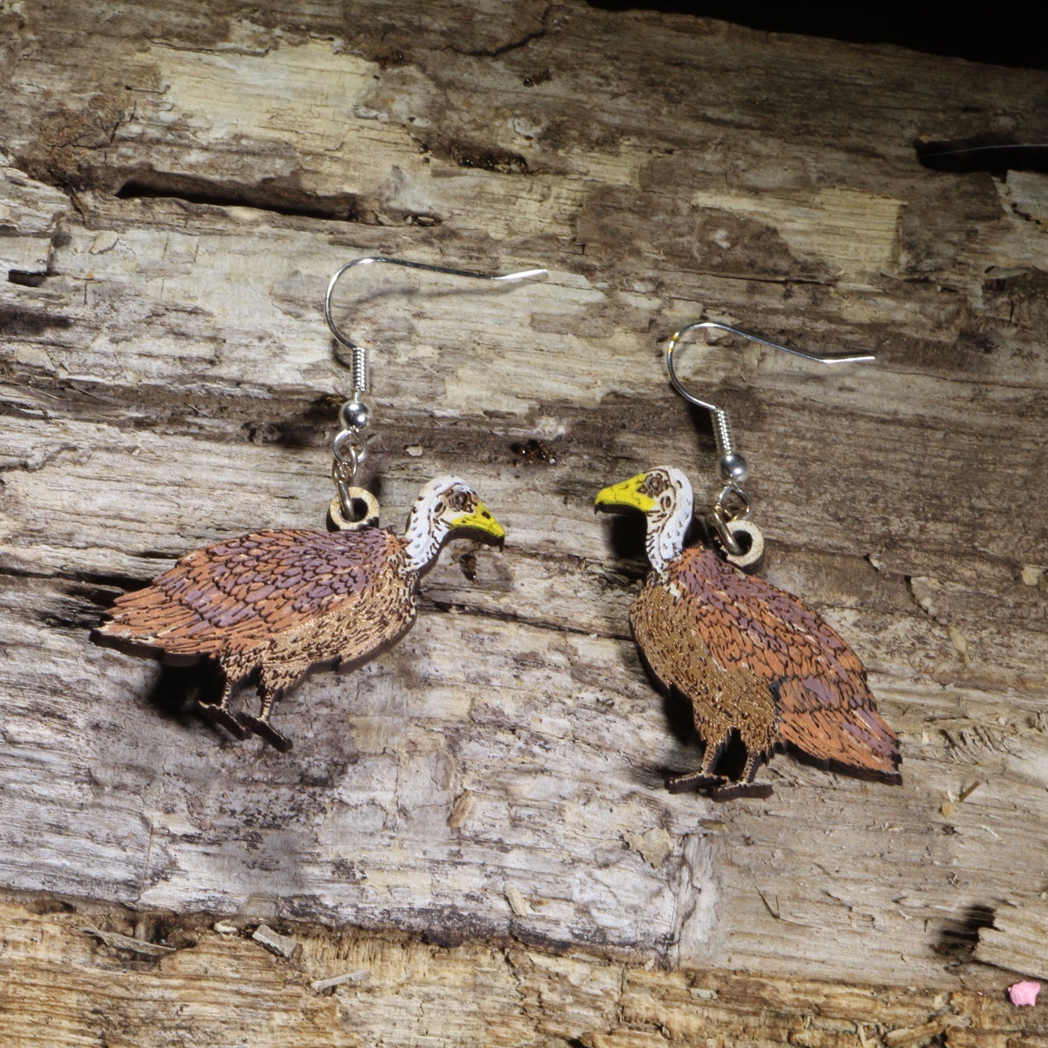 Hand-painted Rüppell&