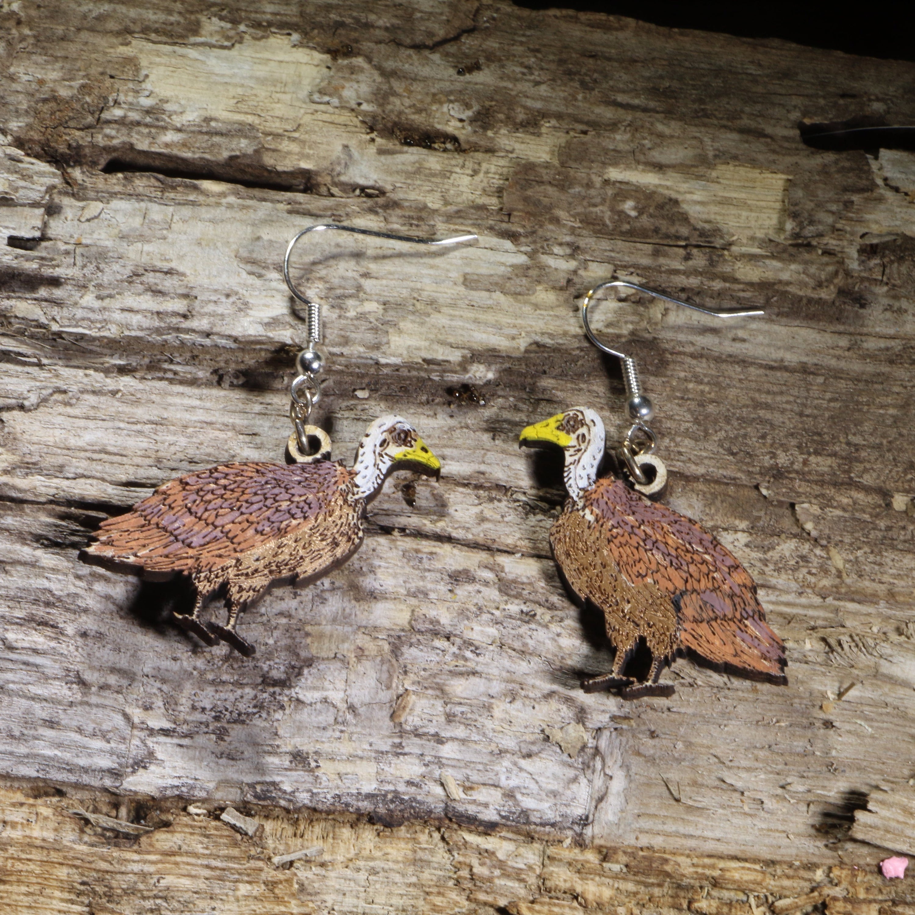 Hand-painted Rüppell&