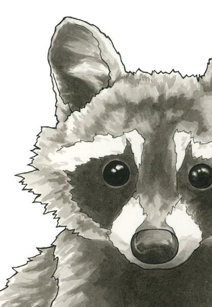 Raccoon Print